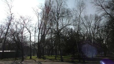 Якої погоди очікувати на Херсонщині у квітні Якої погоди очікувати на Херсонщині у квітні