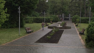 В одеському ботанічному саду ОНУ імені Мечникова зацвіли півонії