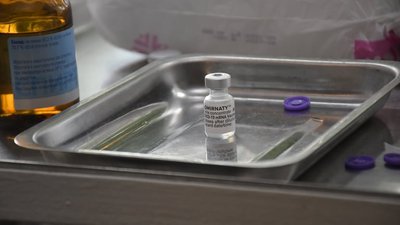 Під час фестивалю "ЛРЗ-Фест" іванофранківці зможуть вакцинуватися проти COVID-19