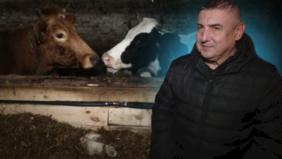 Як виживають ферми на прикордонні Чернігівщини