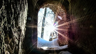 У Вашингтоні проходить фотовиставка із краєвидами Качанівки – заповідника на Чернігівщині У Вашингтоні проходить фотовиставка із краєвидами Качанівки – заповідника на Чернігівщині
