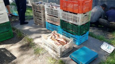 На Черкащині спіймали браконьєрів