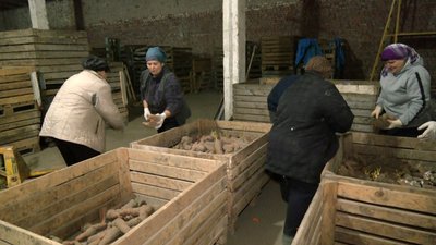 Волинський фермер господарює на землі та займається волонтерством Волинський фермер господарює на землі та займається волонтерством