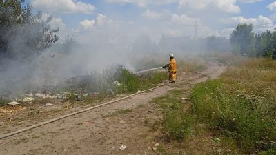 Сухостій та сміття: на Черкащині за добу загасили п'ять пожеж