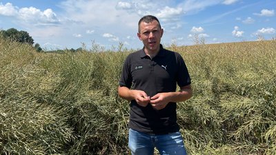 Петро Литвин