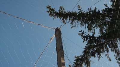 У Сумах планують частково накрити дороги антидроновими сітками

