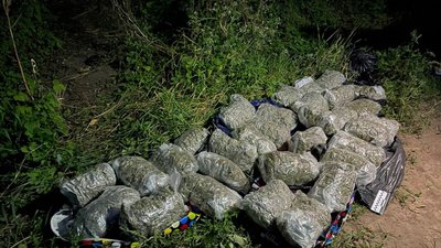 На Черкащині у чоловіків вилучили 37 кг канабісу на понад дев’ять мільйонів гривень На Черкащині у чоловіків вилучили 37 кг канабісу на понад дев’ять мільйонів гривень
