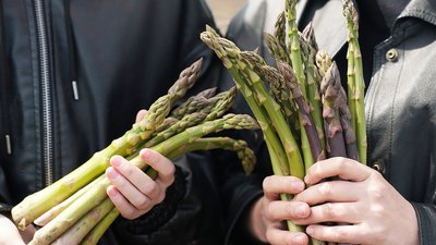 "Спаржа може до 15 років на одному місці рости". Як посадити і доглядати аспарагус — поради фермерки