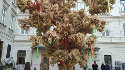 Урочиста хода та коляда: у Львові встановили Різдвяний Дідух