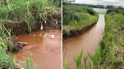 У Рівному бура вода потрапила в озеро Басів Кут. Чому так сталось У Рівному бура вода потрапила в озеро Басів Кут. Чому так сталось