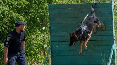 У кінологічному центрі Нацполіції Одещини службу несуть 55 собак