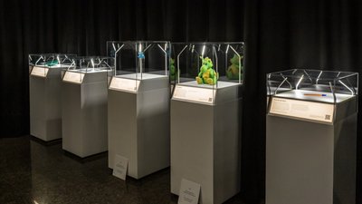 У Херсоні відкриється виставка Музею воєнного дитинства У Херсоні відкриється виставка Музею воєнного дитинства