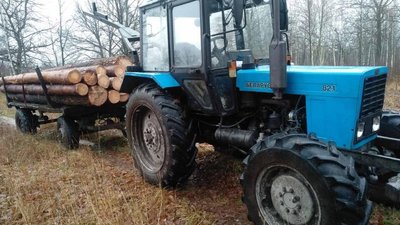 На Житомирщині крадуть ліс: за добу в двох районах області зафіксували незаконні оборудки з лісом