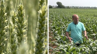 "Ціна ще смішна": назвали попередню вартість черкаських земель