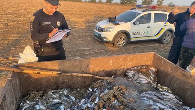 В Одеській області викрили браконьєрів із уловом кефалі на майже 2 млн грн – поліція