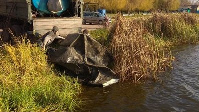 На Житомирщині у Бердичівське водосховище вселено 5500 товстолобиків На Житомирщині у Бердичівське водосховище вселено 5500 товстолобиків