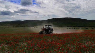 Окупанти знищили чергову пам`ятку природи