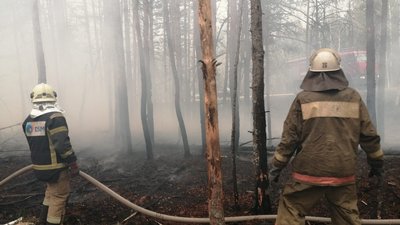 У Києві фіксують найвищий рівень забруднення повітря у світі. Що відбувається У Києві фіксують найвищий рівень забруднення повітря у світі. Що відбувається