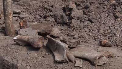 Знахідки археологів датовані кінцем 6 – початком 5 століття до нашої ери Знахідки археологів датовані кінцем 6 – початком 5 століття до нашої ери