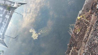 Біля зруйнованого мосту через Сейм на Сумщині сталася аварія, загинуло двоє людей