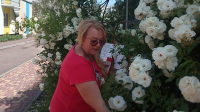 Майже 500 троянд висадили на території одного з дитячих садків Житомира Майже 500 троянд висадили на території одного з дитячих садків Житомира