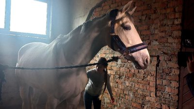 Спали у конюшнях, щоб заспокоювати коней під час вибухів. Як Сумська кінна школа пережила воєнні дії в області Спали у конюшнях, щоб заспокоювати коней під час вибухів. Як Сумська кінна школа пережила воєнні дії в області
