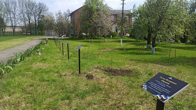 У Дмитрівці на Кіровоградщині висадили алею з вишень у пам’ять про загиблих на війні з РФ земляків У Дмитрівці на Кіровоградщині висадили алею з вишень у пам’ять про загиблих на війні з РФ земляків