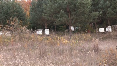 Село Корчунок на Івано-Франківщині: 15 років самотності