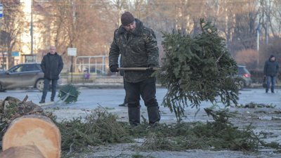 У Чернівцях розібрали новорічну ялинку: що зроблять з деревом