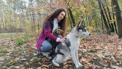 У Черкасах хаскі з Донеччини шукає родину У Черкасах хаскі з Донеччини шукає родину
