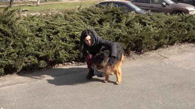 Вісім років очікування: черкаський "хатіко" знайшов родину Вісім років очікування: черкаський "хатіко" знайшов родину