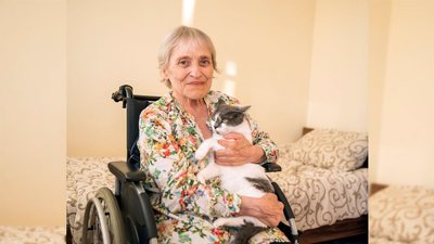 У Львові влаштували фотосесію для переселенців з котами