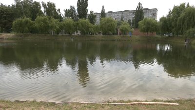 У рівненському "Хіміку" чистили ставок. Як це відбувалося У рівненському "Хіміку" чистили ставок. Як це відбувалося