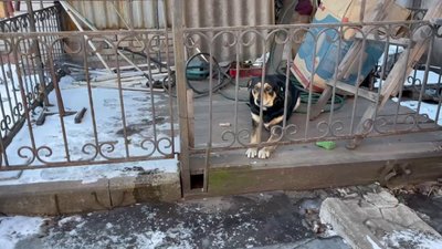 У Запоріжжі сталася пожежа: горіла лазня У Запоріжжі сталася пожежа: горіла лазня