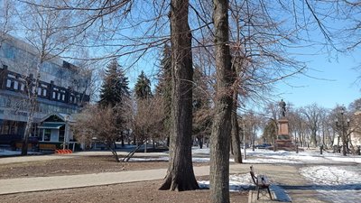 "Хвилюємося. Ховаємося, але ми переможемо!" – сумчани про життя в облозі "Хвилюємося. Ховаємося, але ми переможемо!" – сумчани про життя в облозі