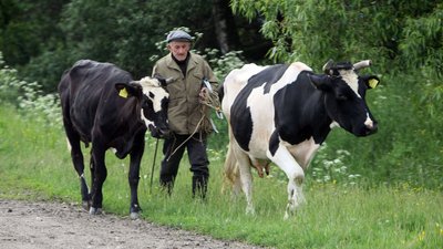 Маловідомі та закинуті села Франківщини. Краєзнавці розказують, чому варто туди поїхати Маловідомі та закинуті села Франківщини. Краєзнавці розказують, чому варто туди поїхати
