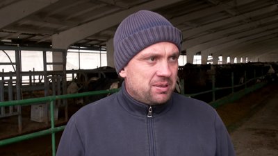 "За дві години прилітило по 200 снарядів": як працює пошкоджена окупантами ферма на Харківщині