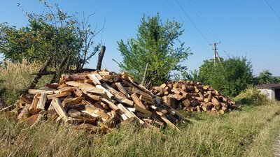 Жителів Рівненщини ошукали на закупівлі дров. У поліції кажуть, що такі випадки почастішали