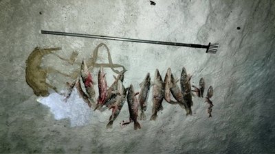 Браконьєри на Чернігівщині: чоловік остями наловив 12 кг риби на понад 50 тис. грн
