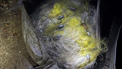 Завдали збитку на понад 2 мільйони гривень: на Полтавщині затримали рибалок Завдали збитку на понад 2 мільйони гривень: на Полтавщині затримали рибалок
