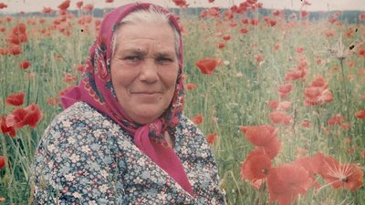 День пам’яті героїв Крут: жителі села на Черкащині доглядають за могилами невідомих крутян День пам’яті героїв Крут: жителі села на Черкащині доглядають за могилами невідомих крутян