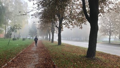 Суха прохолода, а в неділю – дощ: Рівненський гідрометцентр дав прогноз на вихідні