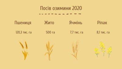 Черкаські аграрії зібрали 98% урожаю та продовжують посівну Черкаські аграрії зібрали 98% урожаю та продовжують посівну