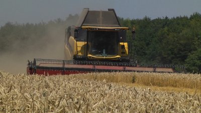 На Хмельниччині власного борошна усім не вистачить: прогноз департаменту АПК