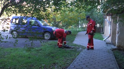 "Ми ж — українці, мусимо допомагати одне одному". Як франківські комунальники ремонтували будинки у Миколаєві "Ми ж — українці, мусимо допомагати одне одному". Як франківські комунальники ремонтували будинки у Миколаєві