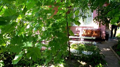 У вбивстві подружжя пенсіонерів на Буковині підозрюють двох братів — прокуратура У вбивстві подружжя пенсіонерів на Буковині підозрюють двох братів — прокуратура
