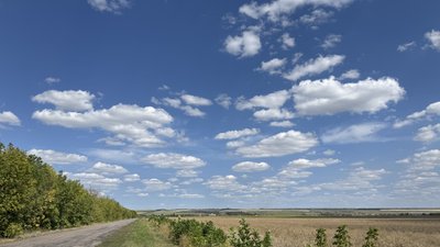 Узбіччя біля полів Донецької області