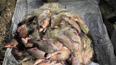 На Полтавщині у чоловіка вилучили рибу на понад 2 мільйони гривень