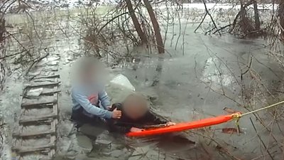 Провалилися під лід: на Закарпатті з-під криги рятували чоловіка з собакою