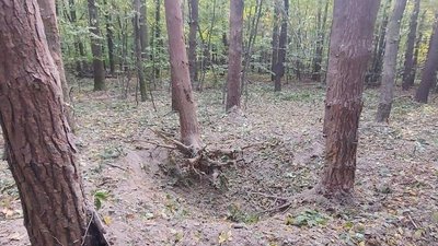 Шукав історичні цінності: у лісі на Буковині чоловік підірвався на артснаряді минулих війн
